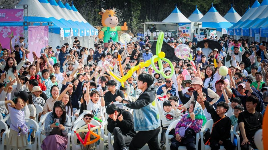 2025 여주흥천남한강 벚꽃축제 2