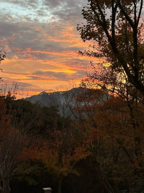 thumbnail-남원 아담원-33