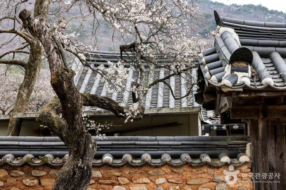 仙岩寺[ユネスコ世界遺産]（선암사 [유네스코 세계유산]）