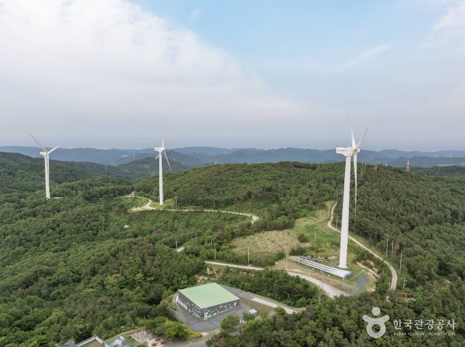 경주_경주 풍력발전(바람의언덕) (8)