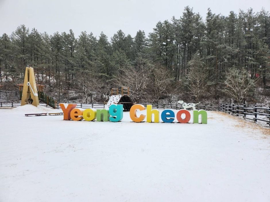 운주산승마자연휴양림