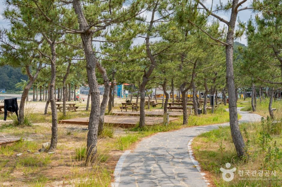 기사문해수욕장