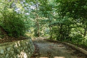 영주_구성공원 (7)