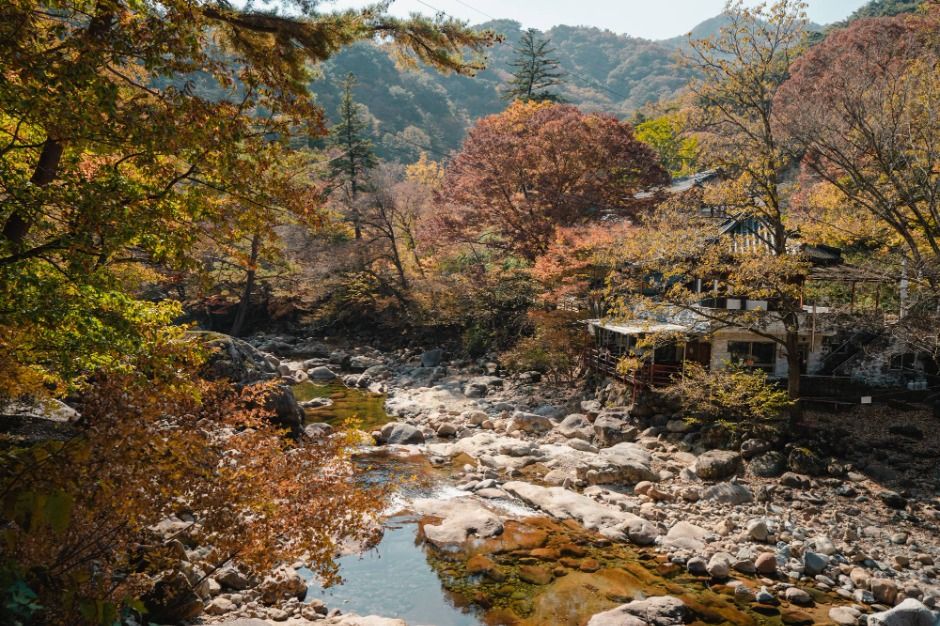 산청_대원사계곡길 (2)