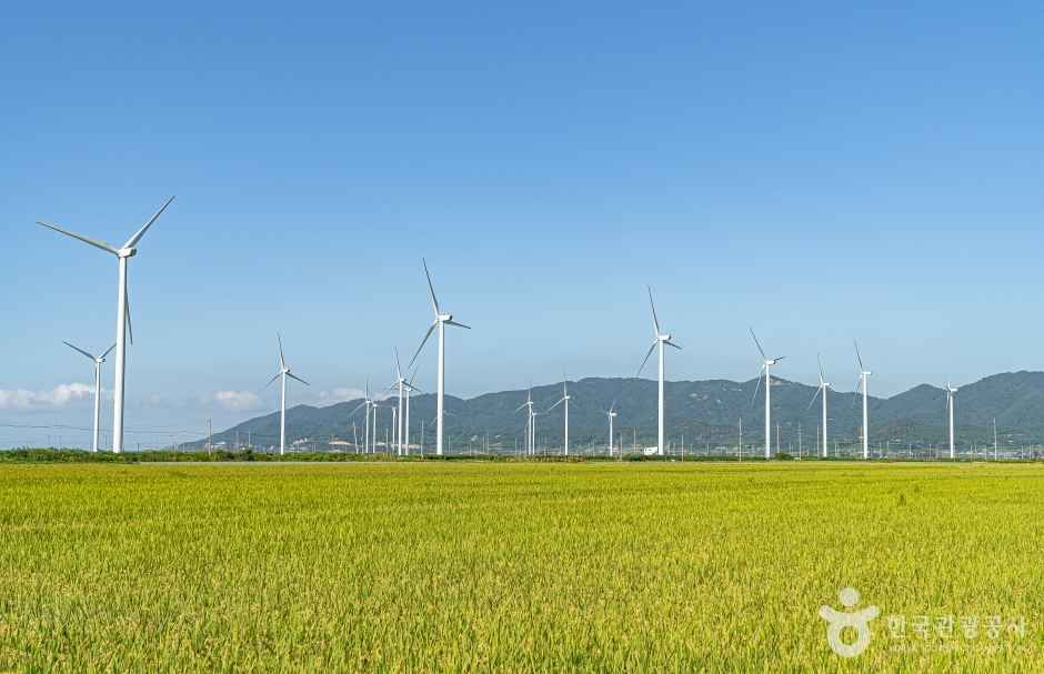 영광풍력발전단지 (5)