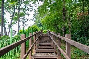 화성_동학산공원 (1)