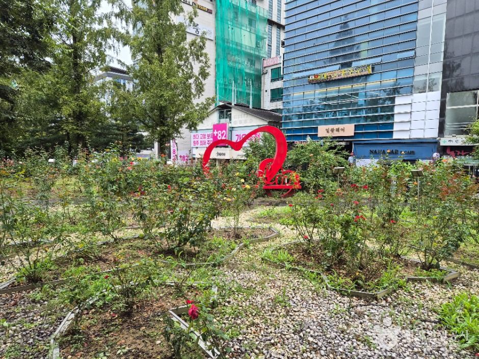 thumbnail-장미공원-15