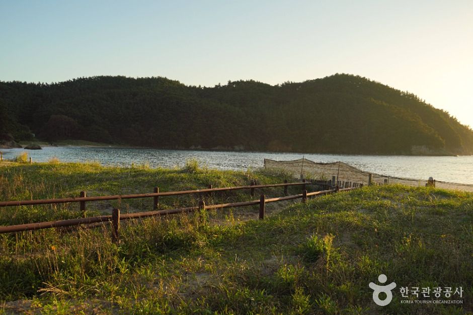 백리포해수욕장