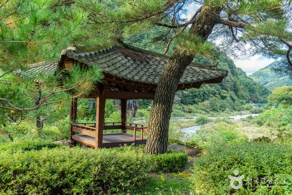 평창_봉황둘레길 (7)