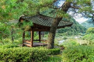 평창_봉황둘레길 (7)