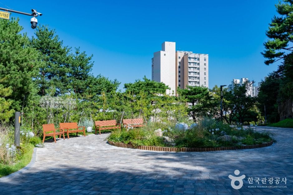 thumbnail-용인중앙공원-5