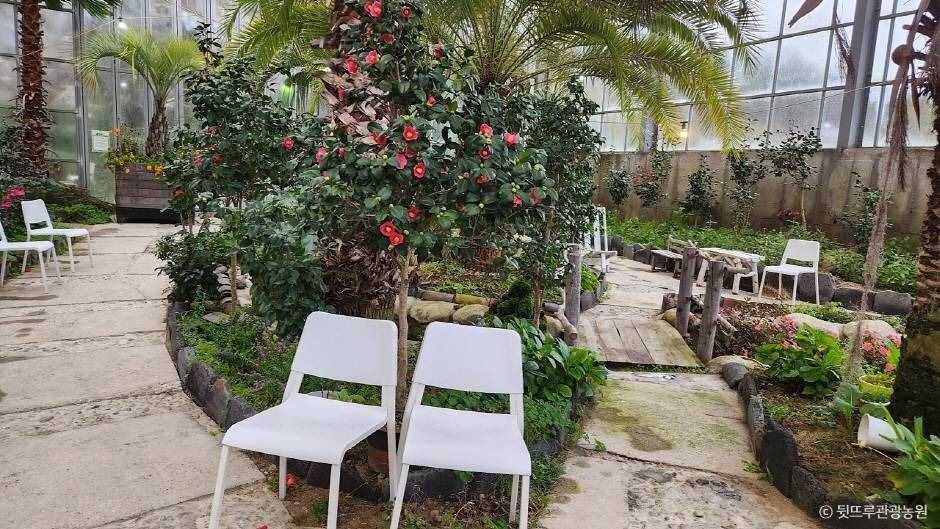 뒷뜨루관광농원