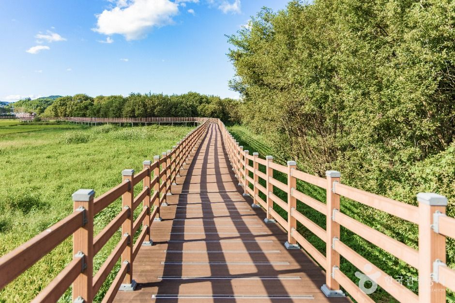 thumbnail-예당호중앙생태공원-1