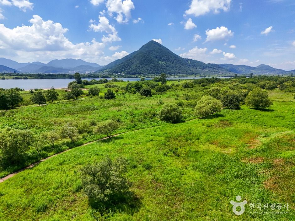 thumbnail-학포수변생태공원-1