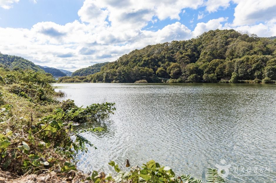 충도저수지