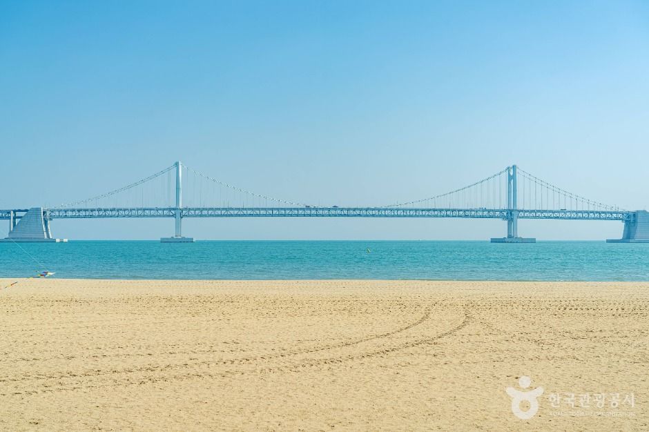 부산_[부산 갈맷길] 2코스 2구간 (10)