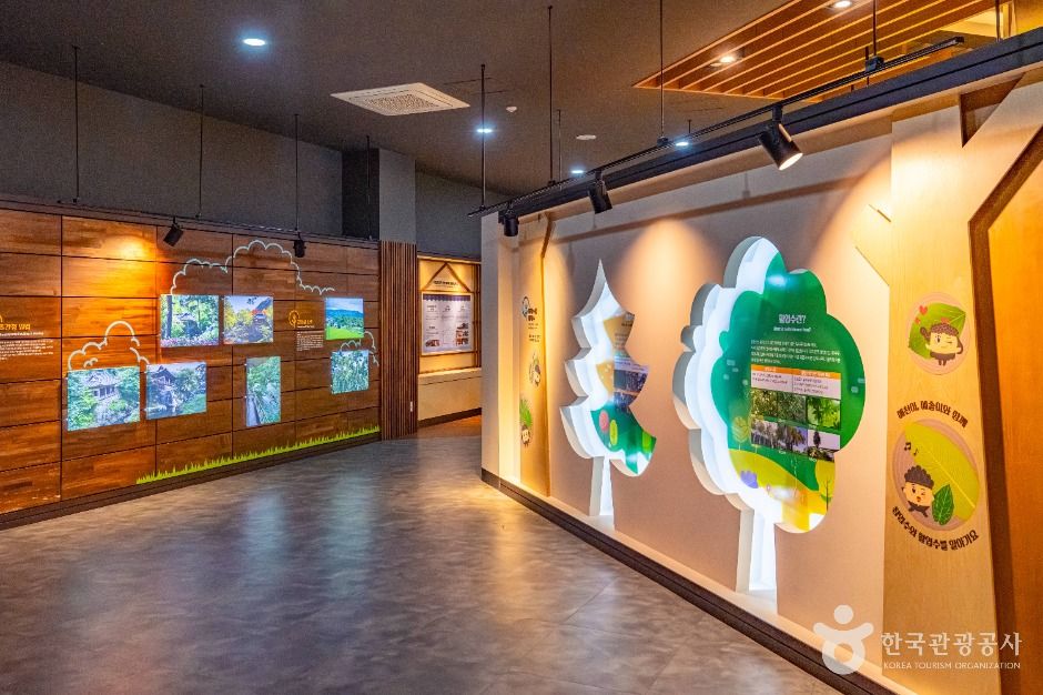 예천목재문화체험장