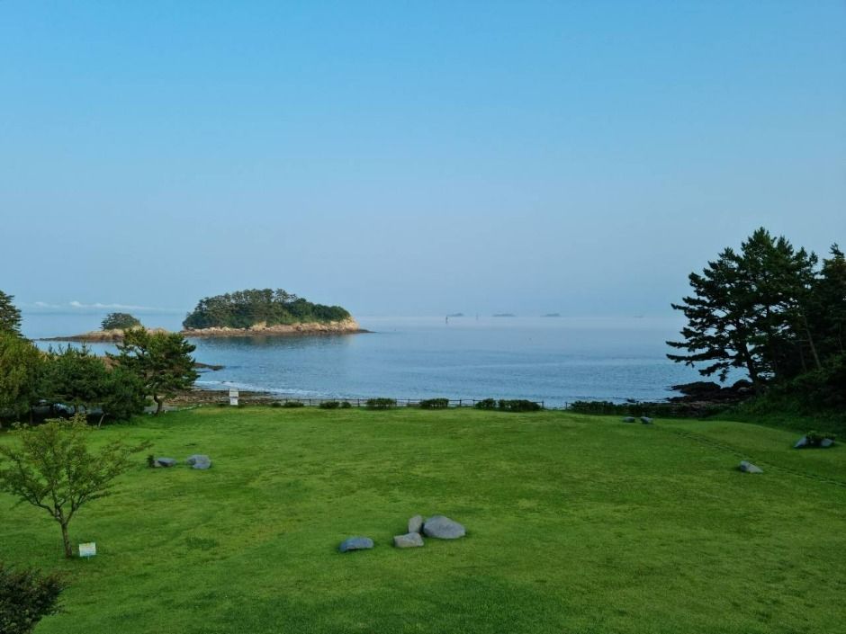 태안_신진도 꿈에그린펜션_외부 (1)