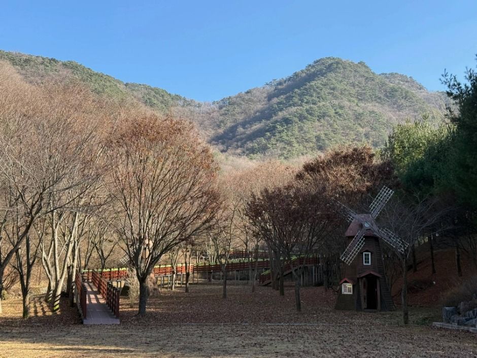 thumbnail-충북알프스자연휴양림-7