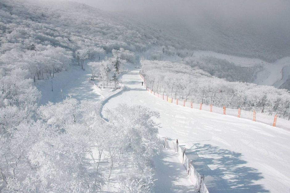 정선_하이원리조트 스키장 (8)