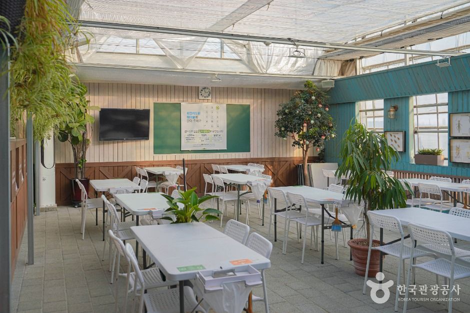 용인 곤충테마파크