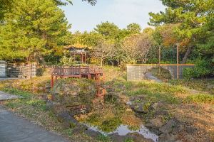 [하영올레] 2코스