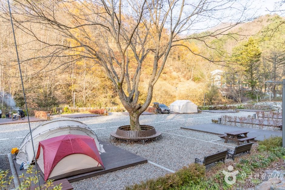 임실_왕의숲 국민여가캠핑장 (4)