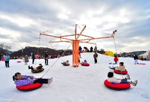 2026 겨울공주 군밤축제 2