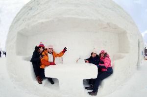 2026 대관령눈꽃축제 4