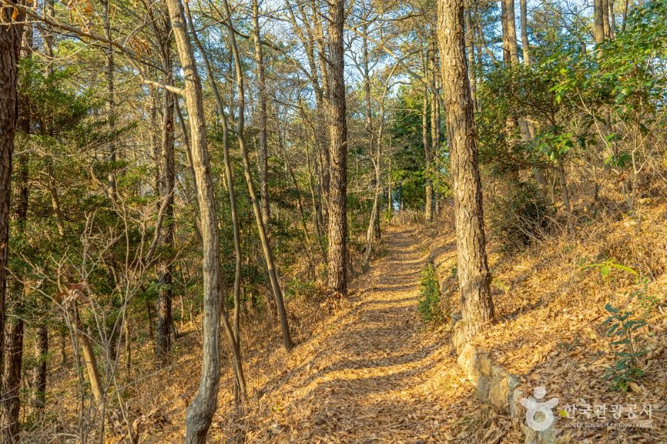 해남_달마고도 (7)