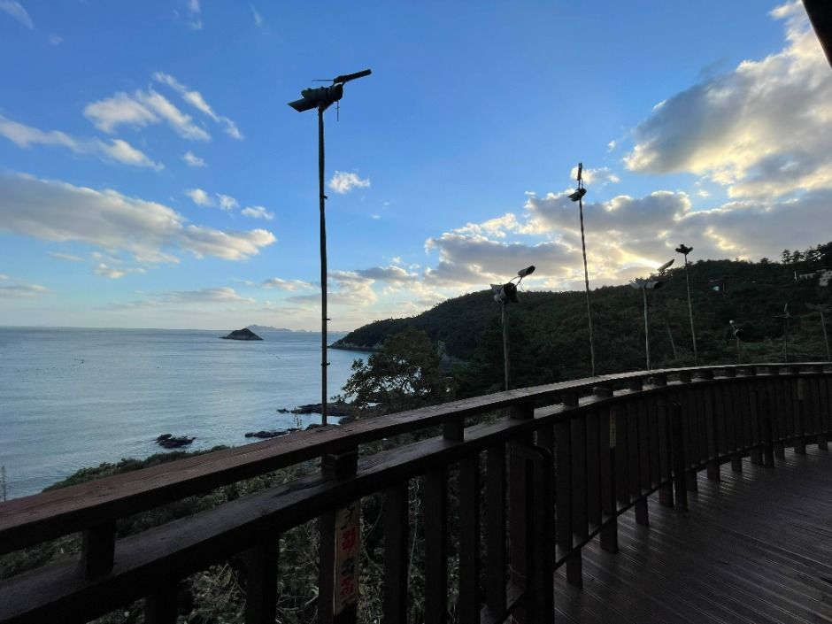 진도_국립진도자연휴양림 (6)