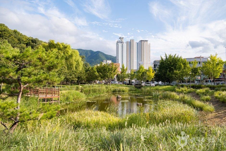 thumbnail-대구 대표 도시숲-10