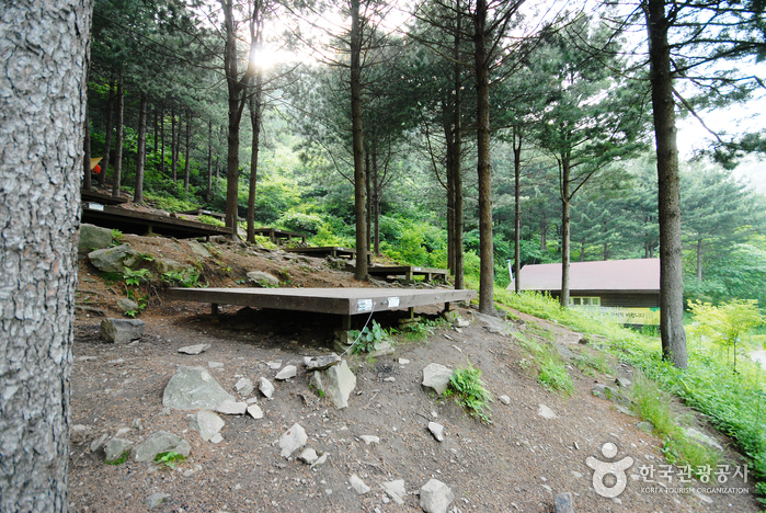 Jungmisan Recreational Forest (중미산자연휴양림)