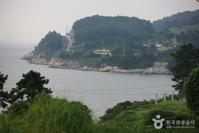 백수해안도로 사진14