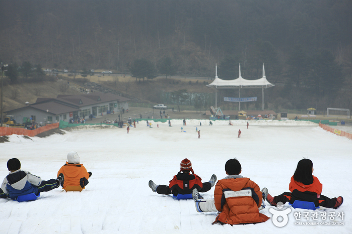 Pista para Trineos de Hanhwa Resort en Yangpyeong (양평한화리조트 눈썰매장)