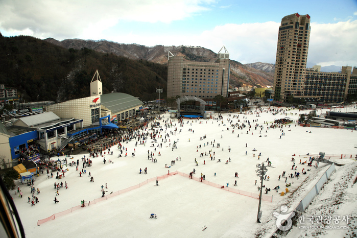 휘닉스평창 스키장2