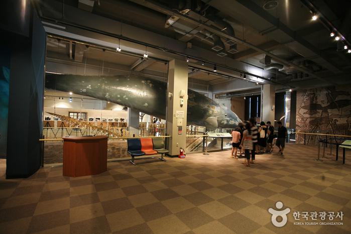 Jangsaengpo Whale Museum (장생포 고래박물관)