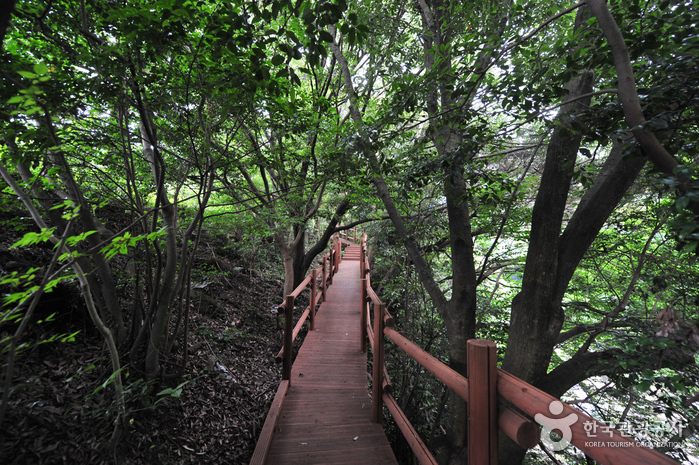 Andeokgyegok Valley (안덕계곡)