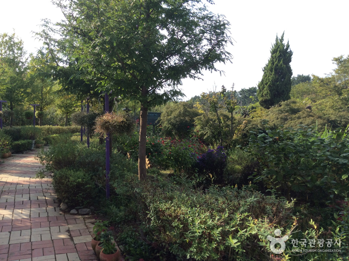 팜카밀레 허브축제 20201