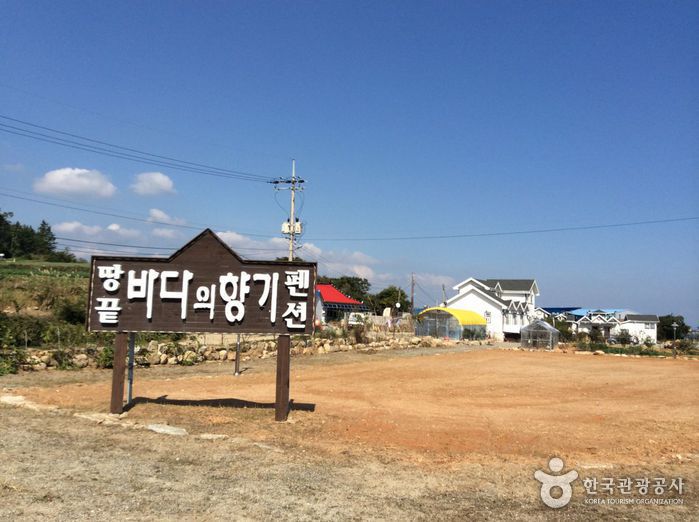 해남 땅끝바다의향기1