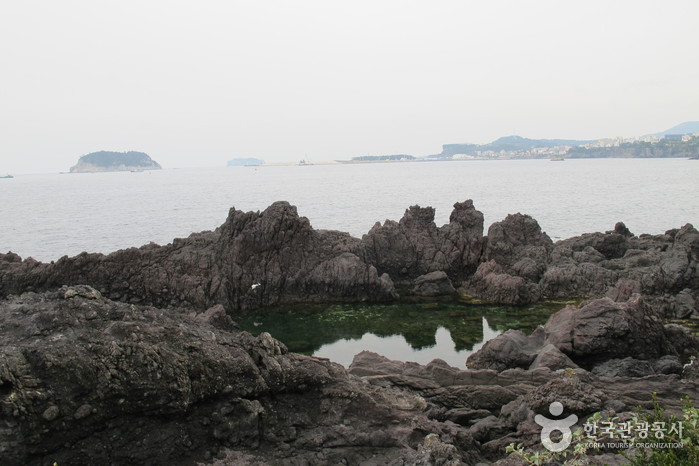 [제주올레 6코스] 쇠소깍-서귀포 올레5