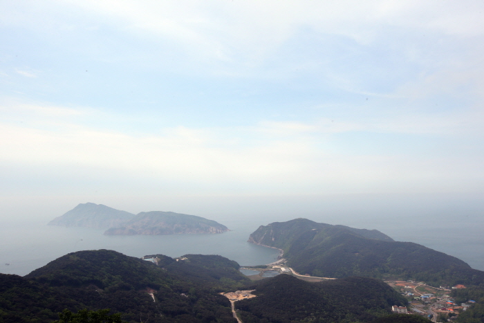 德积岛芦苇生态群落덕적도 갈대 군락지8