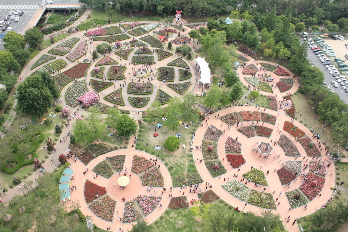Changwon Rose Garden (창원 장미공원)