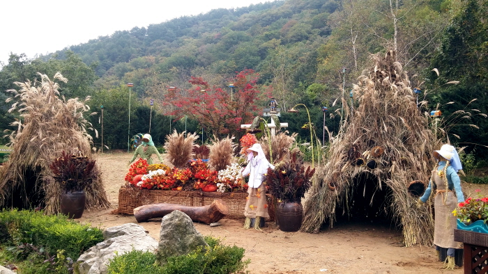 평창 허브나라 가을축제 20190