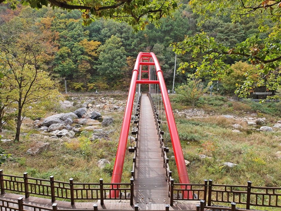 壮灵山自然休养林(장령산자연휴양림)