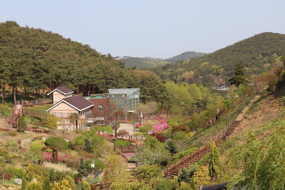 Arboreto Samseonsan (삼선산수목원)