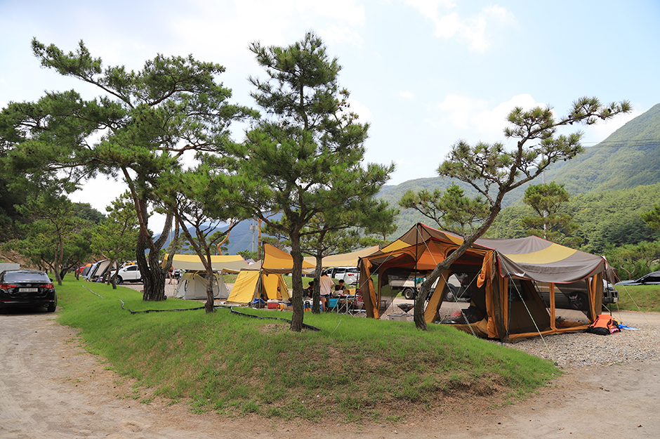 김삿갓 계곡 캠핑장