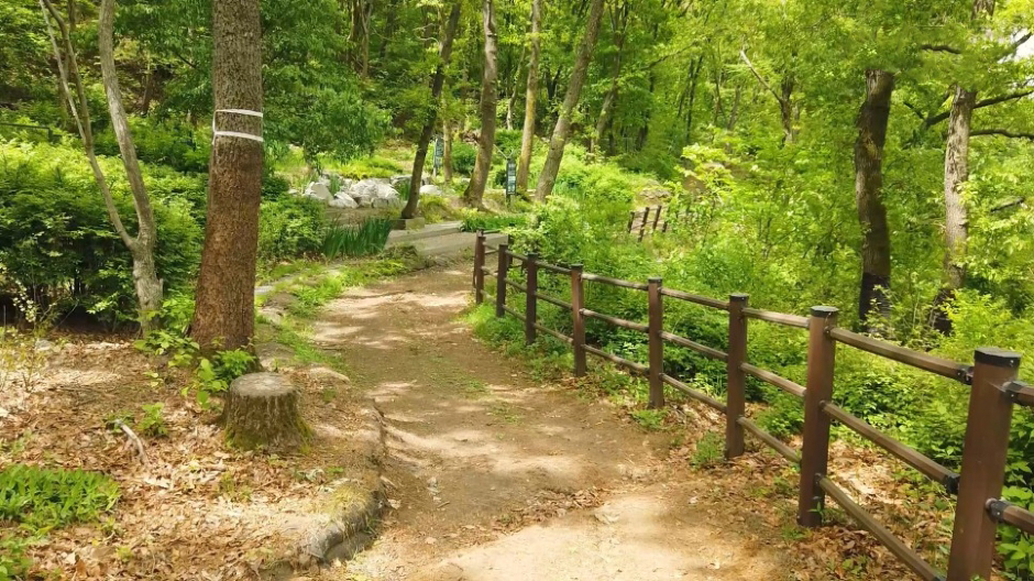 서울대공원산림욕장