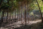 물무산행복숲 3