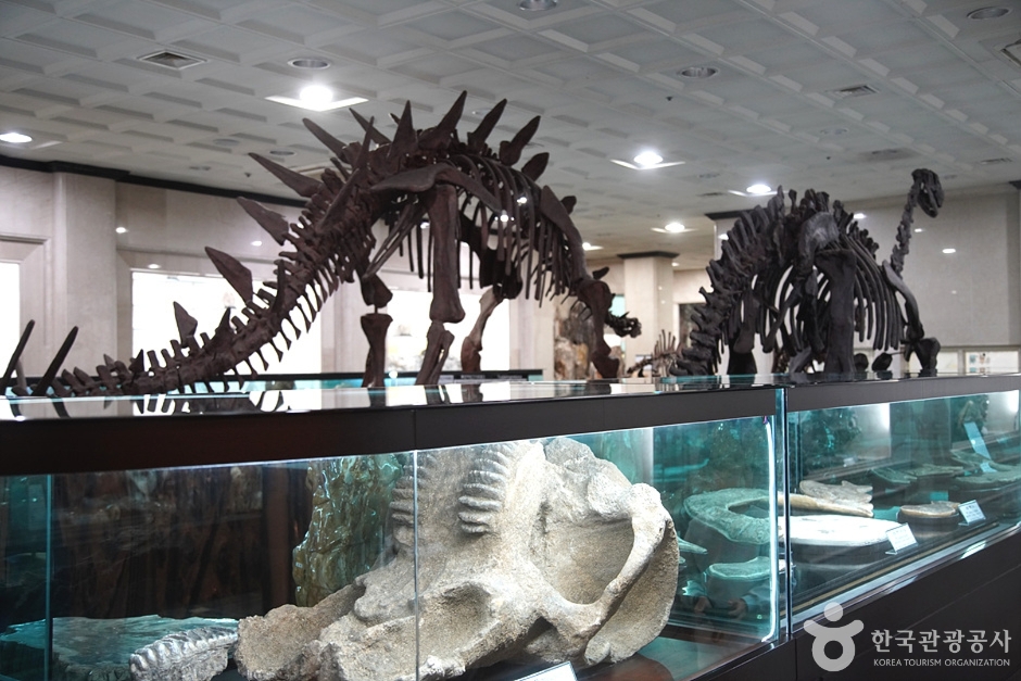 Gangwon Comprehensive Museum (강원종합박물관)